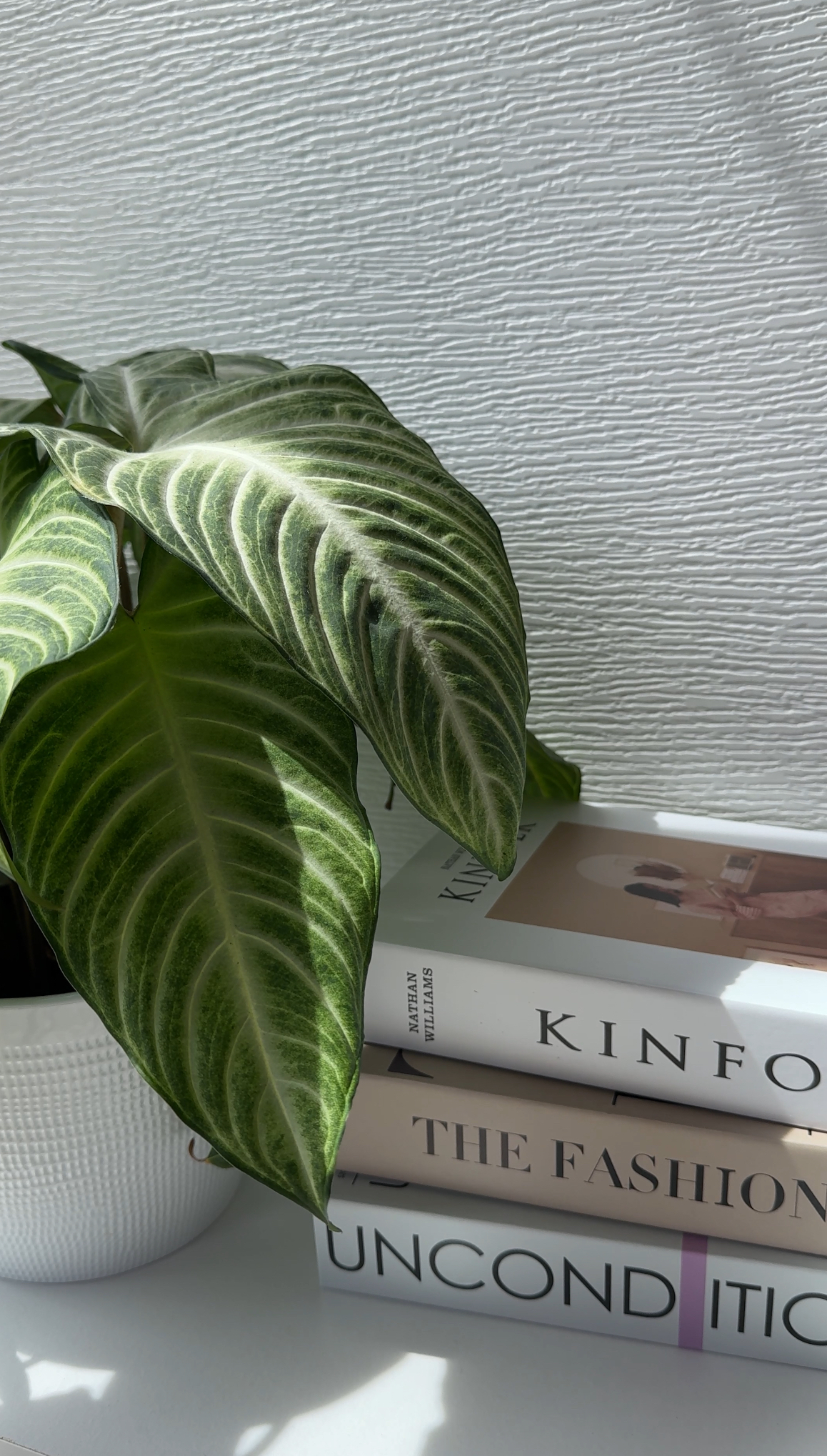 Faceless Digital Marekting, Marketing for Beginners, Vertical VIdeos for Content Bank Social MEdia